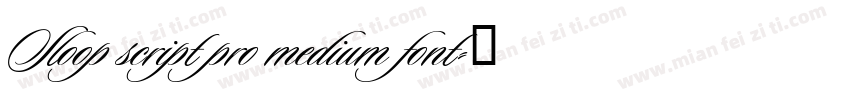 Sloop script pro medium font字体转换